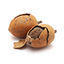 Two chestnuts with one cracked open on a white background